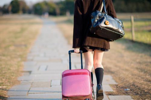 林婼薇林清月小说 林婼薇林清月完整版免费阅读