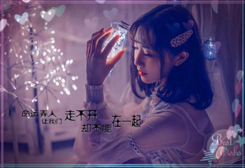 主角周怀北宋雨欣宋祁小说免费阅读最新章节