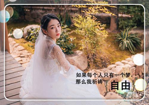 飞升失败后，我成了暴君的萌宠免费章节阅读 席惜之安弘寒全文阅读