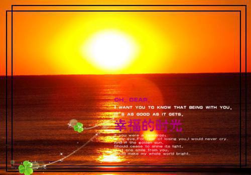 顾唯烟司南小说 顾唯烟司南免费章节阅读