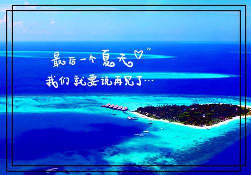 沈梨徐言则贺兰兰什么小说 沈梨徐言则贺兰兰全文免费阅读