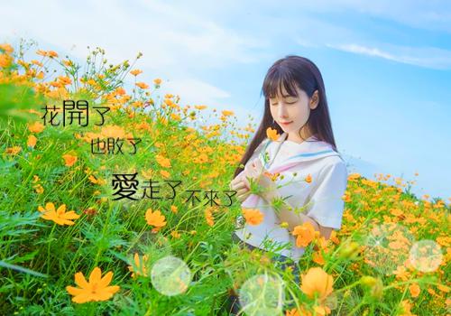 季斯年顾笙顾兮兮全文免费大结局 季斯年顾笙顾兮兮小说在线阅读