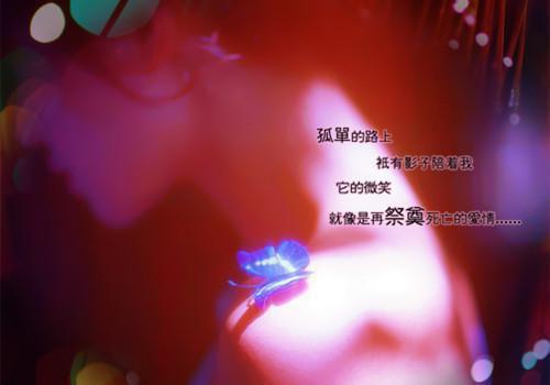 主角简思雨何川野小说免费阅读最新章节