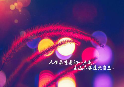 玄靳勋徐舞雅（玄靳勋徐舞雅）完整全文在线阅读_玄靳勋徐舞雅小说全章节目录阅读（玄靳勋徐舞雅）