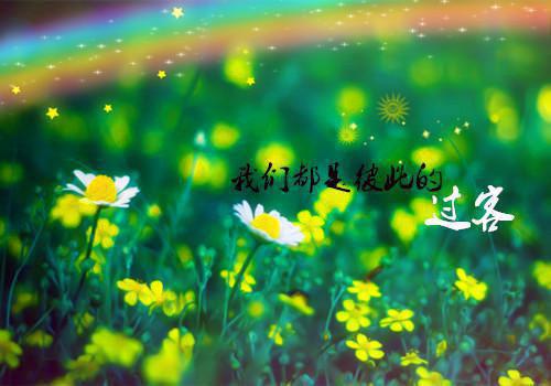 周韬楚宁赵婷小说名字 周韬楚宁赵婷全文免费阅读