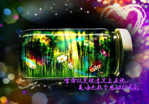 把死对头亲哭了，他怎么敢的！免费阅读全本 林曜谢星忱最新章节