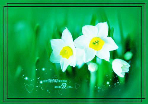 沈慕白宋栀免费小说 沈慕白宋栀在线阅读免费大结局