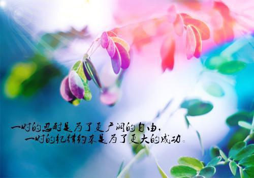 陪老板创业七年后最新章节全文阅读 韩哲陈光耀未删节小说