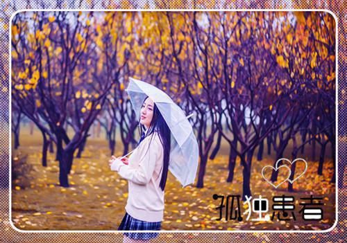 陆淮川慕容风免费全文无弹窗 王牌改字小说在线阅读