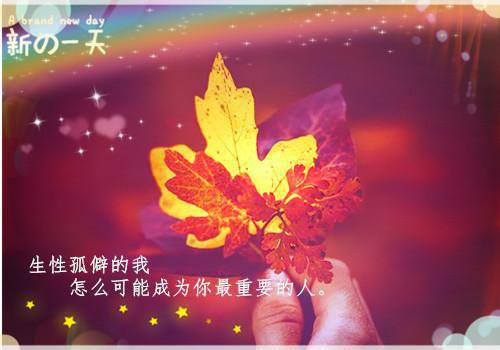 旧爱犹如破衣服纪礼苏依邱悦小说最新章节(在线阅读)