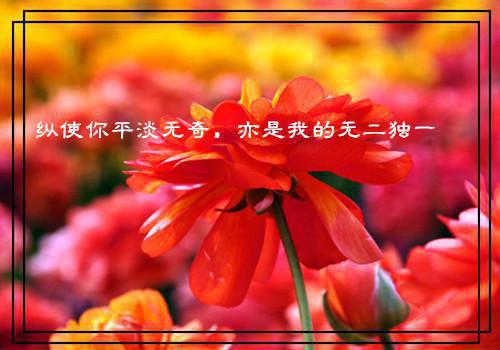 我鬼屋里的NPC不是人APP内阅读 伍心莉莉全文大结局