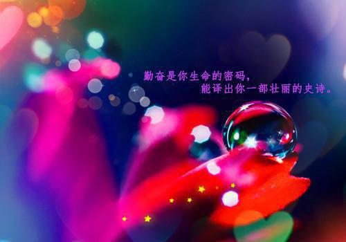 兰登夏大雨全文免费阅读最新 兰登夏大雨第7章