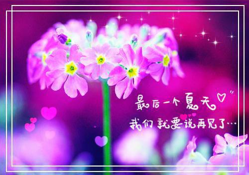 骁月免费阅读第3章 主角连璟骁月凌霄连云笙