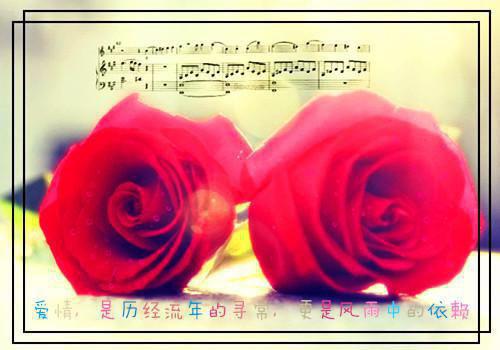 莫小冉夏江城正版最新推荐_最新章节阅读莫小冉夏江城正版