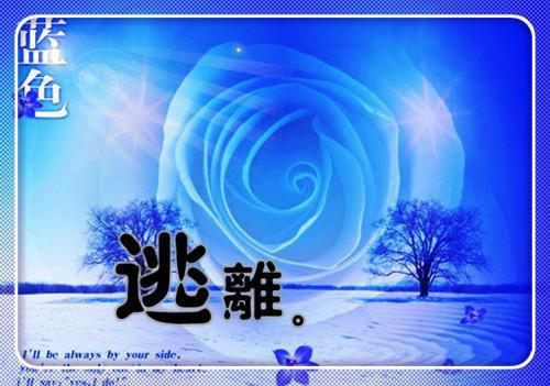 岳乐盈谢卓宁小说 岳乐盈谢卓宁免费章节阅读