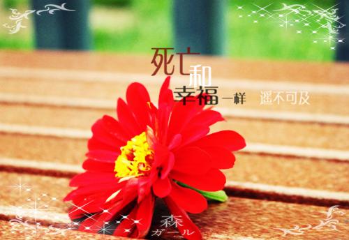 袁清香南齐天免费全文无弹窗 妃娶不可：皇上，乖乖来道歉小说在线阅读