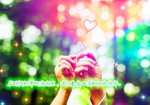 梁译顾薇沈从听小说 梁译顾薇沈从听免费章节阅读