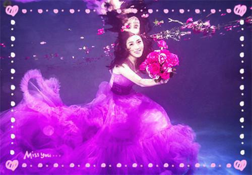 沈辞苏沁安妍小说 沈辞苏沁安妍全文免费阅读