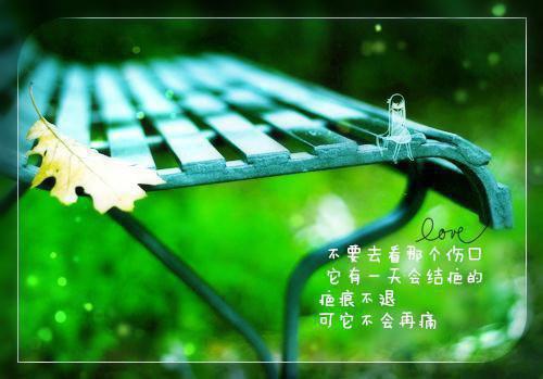 重生后，妹妹抢了我的全雄兽人星球章节目录 阮烟烟阮轻轻结局免费看