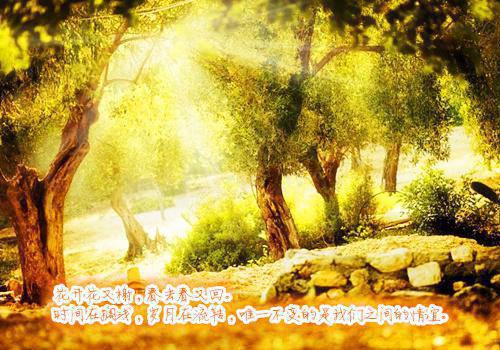 (最新)向葵李宴小说完整版免费阅读