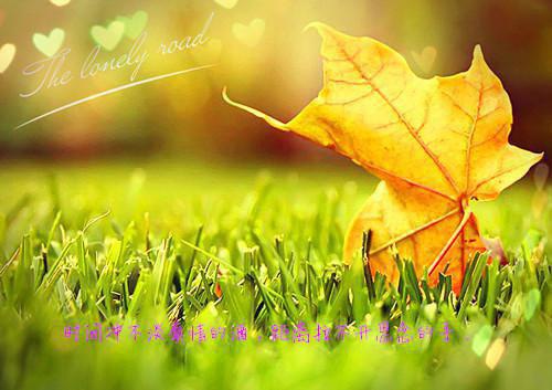 碧若复仇之重生(曦虞炁无)无弹窗阅读