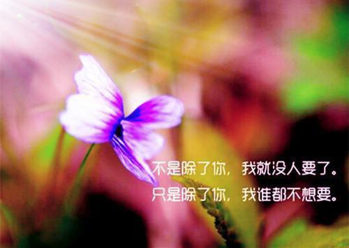 祁缘免费全文 祁缘小说在线阅读