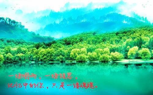 陆南泽陈芷依小说 陆南泽陈芷依免费章节阅读