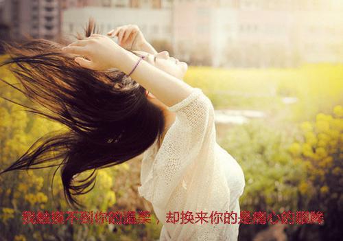 (完整版)陈诚茜茜小说免费阅读无广告