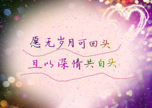 我五脏六腑破裂时，妈妈眼里只有弟弟小说全集免费阅读 季尘季宇章节列表