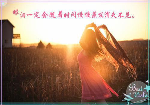 周云武璇玑免费小说 周云武璇玑全文阅读目录