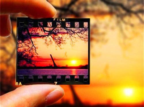 为夫君圆梦免费阅读全本 沈淮安崔妙完整版小说