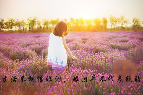 姜云静傅星衍全文阅读最新 姜云静傅星衍小说目录