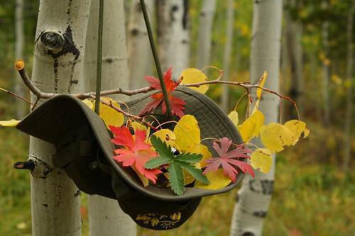 江衍舟李清清周庭伟是什么小说的主人公 江衍舟李清清周庭伟免费阅读