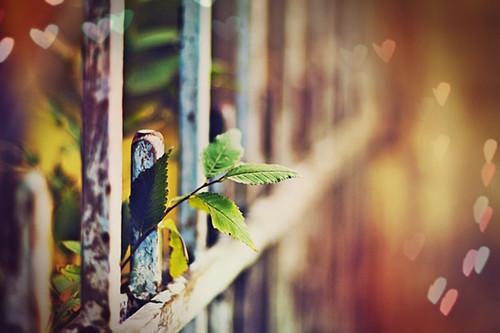 穿越八零，纯情大佬被我拿捏了小说全文 张知晓周剑豪无删减无弹窗阅读