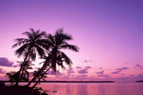 简思雨何川野小说最后结局 简思雨何川野完结版免费阅读
