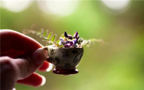 林小豆周清朗全集完整版大结局-林小豆周清朗小说在线赏析