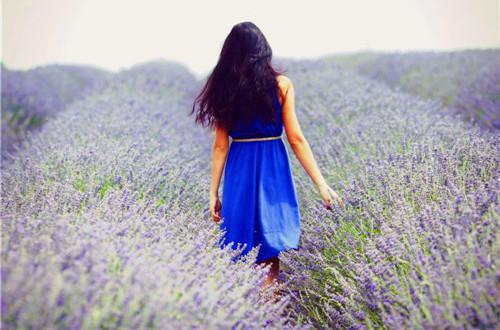 被将军休妻后我与王爷谈恋爱小说全文免费阅读结局在线阅读 顾南枝楚明舟言溪完整版免费小说