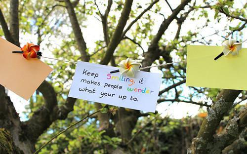 十年暗恋五年婚姻，在这一刻都不要了全文阅读 唐向南贺识琛小说无删减