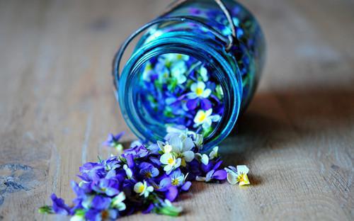 汤洁方岚万之瑶小说名字免费 反击奇葩辅导员章节阅读