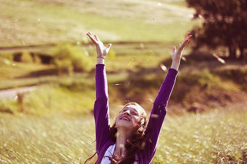 许清央盛耀川小说在线阅读 许清央盛耀川最新章节目录