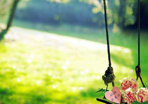 李照李大树全文最新章节正版小说免费阅读