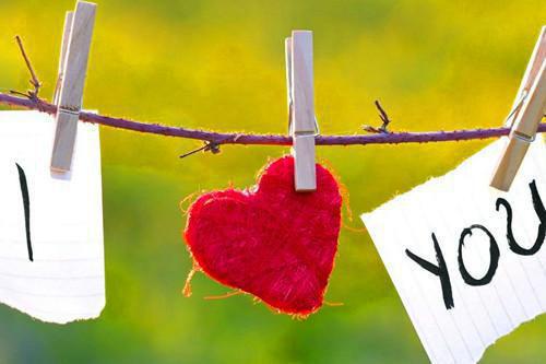 小说宁海金丽红全文免费阅读无弹窗_（宁海金丽红完结）宁海金丽红小说免费阅读无弹窗最新章节列表