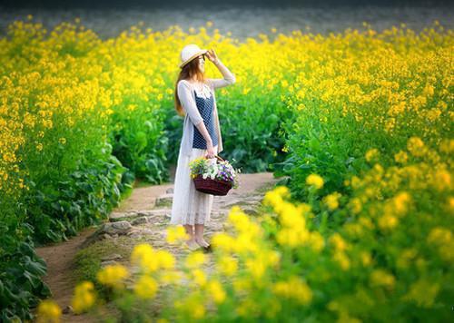 （热推新书）《顾时砚岑烟》顾时砚岑烟无弹窗阅读_顾时砚岑烟最新章节列表