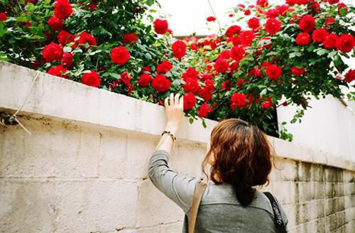 李菁张衡免费阅读无弹窗 李菁张衡最新章节