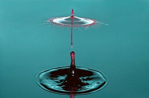 周顶苏映雪小说目录 周顶苏映雪完整免费版阅读