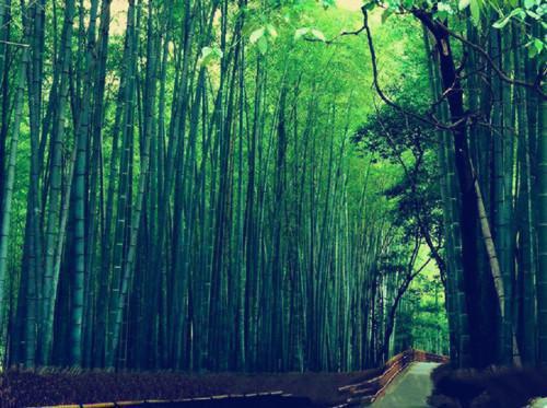 谢乔康少捷小说最后结局 谢乔康少捷完结版免费阅读