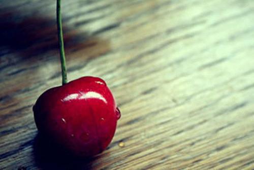 姚承启童雅欣小说目录 姚承启童雅欣完整免费版阅读