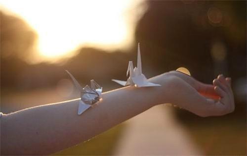 叶芷云程瑾辞完整版 叶芷云程瑾辞小说全文在线阅读