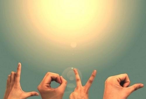 蝶恋花最新更新 边锦廷子桑晚免费读