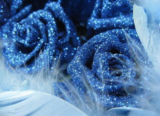 宋离笙靳闵易小说目录 宋离笙靳闵易完整免费版阅读